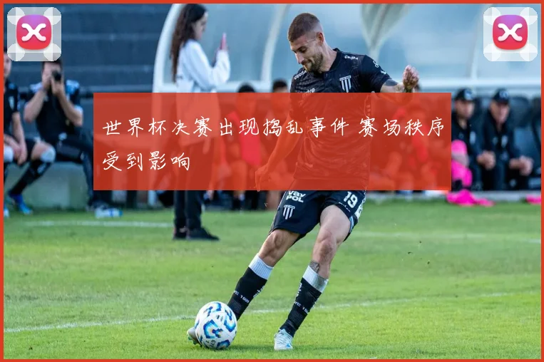 世界杯决赛出现捣乱事件 赛场秩序受到影响