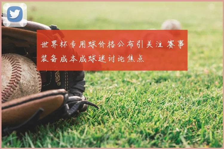 世界杯专用球价格公布引关注 赛事装备成本成球迷讨论焦点